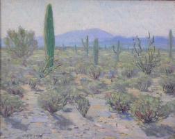 Arizona Desert by William Posey Silva