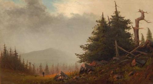 In the Adirondacks by George L. Miller