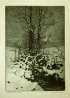 Winter Evening by George Elbert Burr