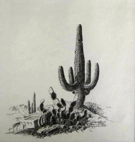 Large Saguaro Desert Scene by Jack van Ryder