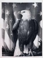 Bird of Freedom by Stow Wengenroth