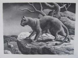 Cougar & Doe by William Wind McKim