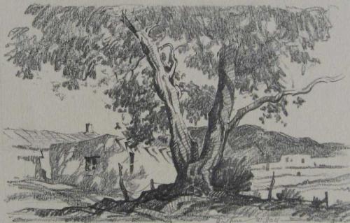 Tree and Adobe by Arthur Hall