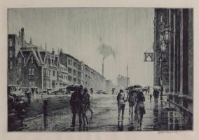 Rain on Murray Hill by Martin Lewis