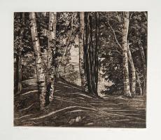 Through the Birches by Luigi Lucioni