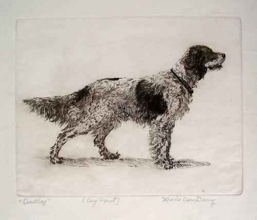 Dudley by Marie Dubarry