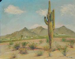Saguaro, Dreamy Draw by Erna Lange