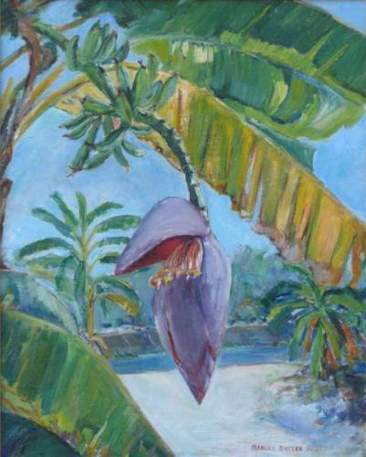 Flowering Banana by Manly Butler